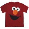 Boys' Short Sleeve Sesame Street Elmo Face T-Shirt - 2 of 4