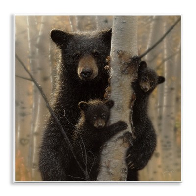 Stupell Industries Forest Black Bear and Cubs, 12" x 12"
