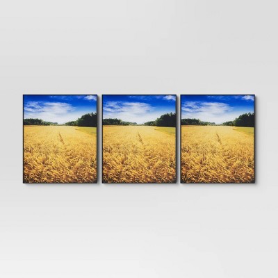 8" x 10" Set of 3 Format Frames Black - Room Essentials™