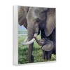 Stupell Industries Baby Elephant And Mother Framed Giclee Art - 2 of 4