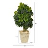 Nearly Natural 3.5-ft Schefflera Artificial Tree in Country White Planter (Real Touch) - 2 of 4