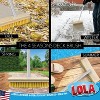 Lola Products Deck Scrub Brush Broom, 9" x 3.5" Wide, Durable Bristles remove Dirt, Grime, Grout, Leaves, Snow on Patios, Decks, Wet or Dry, 1 Count - 2 of 4