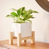 Southern Patio 7" Hemingway Planter in White Finish w/ Wood Stand - Southern Patio - 4 of 4