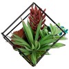 Northlight Artificial Succulent Arrangement with Metal Wire Frame - 7" - 3 of 4