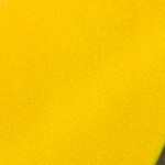 yellow stripe