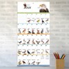 TF Publishing 2025 Wall Calendar 12"x12" Birds Backyard and Beyond: Monthly Hanging Saddle Stitch for All Ages - 3 of 4