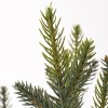 3' Woodward Pine Artificial Christmas Tree - National Tree Company - 4 of 4