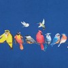 Collections Etc Colorful Realistic Backyard Birds Crewneck Sweatshirt - 3 of 4