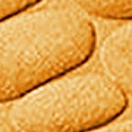 yellow mustard
