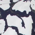 dark navy floral