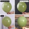 PartyWoo Balloons Sage Green Matte Olive Eucalyptus 12 Inch 50 pcs - 2 of 4