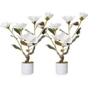 1/2 Pc Artificial Magnolia & Orchid Trees in Pot, PEVA Polyester Faux Plants with White Planter, 24/31/37" for Home Office Decor - 1 of 4