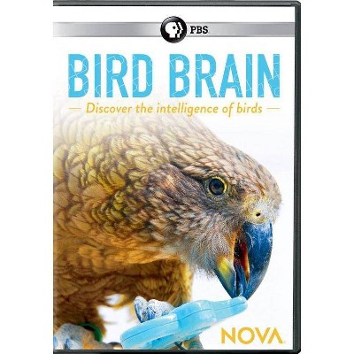 Nova: Bird Brain (DVD)(2018)