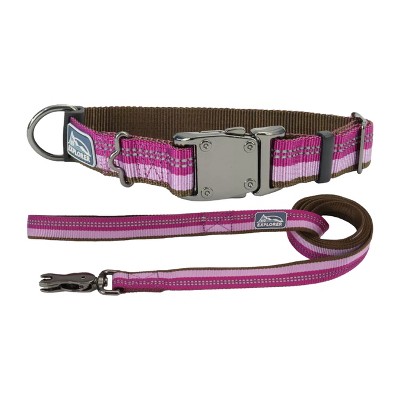 K9 Explorer by Coastal Pet Dog Leash Set - Reflective Adjustable Dog Collar (5/8" x 8"–12") & Reflective Dog Leash with Scissor Snap (5/8" x 6')