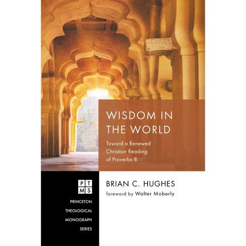 Wisdom in the World - (Princeton Theological Monograph) by  Brian C Hughes (Paperback) - image 1 of 1