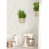 Brewster Peel and Stick 1pc Wallpaper Zen Garden Cream - image 3 of 4