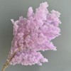 Alilang Decorative Dried Fine Leaf Stems for Home Decoration and Floral Arrangements, 17.7 Inches - 2 of 3
