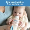 Dr. Brown's Milestones 100% Silicone Narrow Baby Bottle Handles in Green and Beige - 2pk - 3 of 4