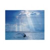 Trademark Fine Art Mircea Costina Whale and Sun Rays Wood Slat Art - image 3 of 4