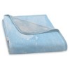 Northwest Cinderella Micro Raschel Throw Blanket, 46" x 60", On Time - 3 of 4