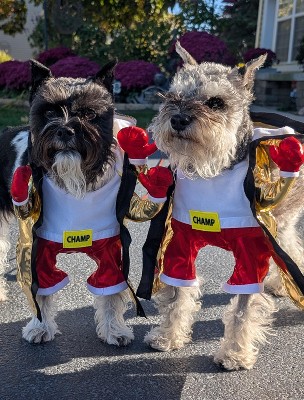 Guest review image 2 of 6, zoom in