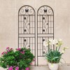 NicBex 2 Pack Metal Garden Trellis 71"X19.7" Pothos Plant Climber Support Rust Proof Grape Trellis for Garden, Black - 3 of 4
