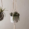 Hanging Cylinder Pot Gray Metal & Rope - Foreside Home & Garden - 2 of 4