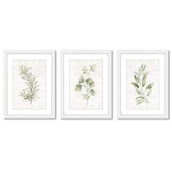 Americanflat Botanical Minimalist (Set Of 3) Herb Sprigs By Pi Creative Art Framed Triptych Wall Art Set