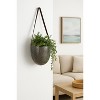 Napa Home & Garden Small Wall Planter Pot - 2 of 3