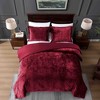 BAGOKIE 3 Pieces Crushed Velvet Bed in a Bag Comforter Set for All Season, - 3 of 4