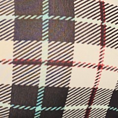 cozy bay plaid