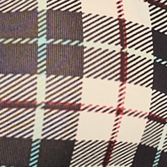 cozy bay plaid