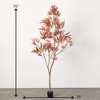6'3"H Sullivans Colorful Mango Leaf Tree, Brown - 4 of 4