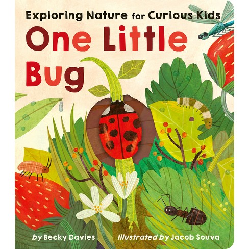 Little Bugs Nature Preschool