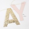 Meri Meri Pink Happy Birthday Fringe Garland Set (8' with excess cord - Pack of 1) - 3 of 4