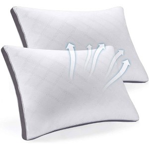 Dr Pillow Sepoveda Pillow Cases set of 2 - 1 of 3