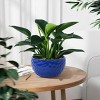Syemin Planters 3 Pieces Ceramic Planter Pot with Drainage Hole, Modern Flowerpot for Patio, Garden or Windowsills, Blue, 14.96"*14.96"*7.48" - 2 of 4
