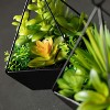 Sullivans Artificial Succulents In Pyramid Planters Set of 2, 9"H Green - 2 of 3