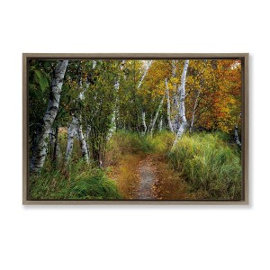 Stupell Industries Walk In The Hemlocks Forest Floating Frame Canvas Art, Brown, 25" x 17" - 1 of 4