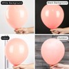 PartyWoo Balloons Light Pink Pastel Peachy 18 12 10 5 Inch 142 pcs - 3 of 4