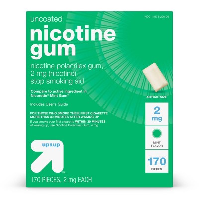 Nicotine 2mg Gum Stop Smoking Aid - Mint Flavor - 170ct - up & up™