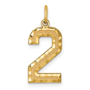 Black Bow Jewelry 14k Yellow Gold, Varsity Collection, Large D/C Pendant Number 2 - 1 of 4
