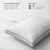 APSMILE Goose Feathers and Down Pillow with Ultra Soft Cotton for Side Sleepers - image 2 of 4