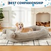 A Dog Bed Suitable for You and Your Pet, Featuring A Semi-Enclosed Plush Design for Naps, an Adorable Double-Ear Style, and Comes with A Pillow - 4 of 4