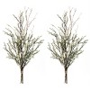 Leptospermum Greenery Swag Set of 2 22 Inch Length for Door or Shelf Styling By Melrose - 3 of 3