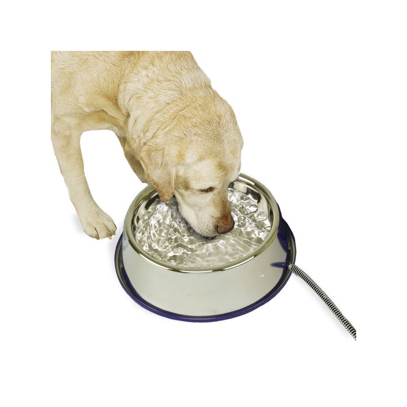 K&H Pet Products Thermal-Bowl, 1 of 3