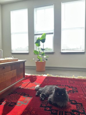 Guest review image 1 of 1, zoom in