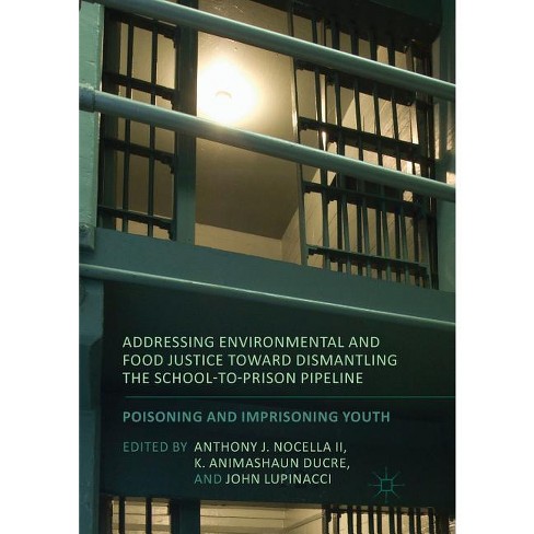 Addressing Environmental and Food Justice Toward Dismantling the School-To-Prison Pipeline - (Paperback) - image 1 of 1