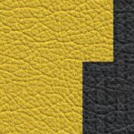 naval academy midshipmen