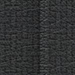 naval academy midshipmen